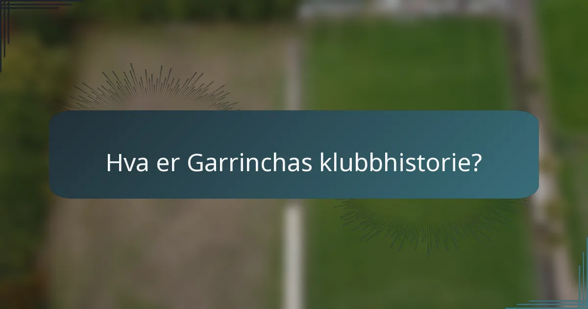 Hva er Garrinchas klubbhistorie?