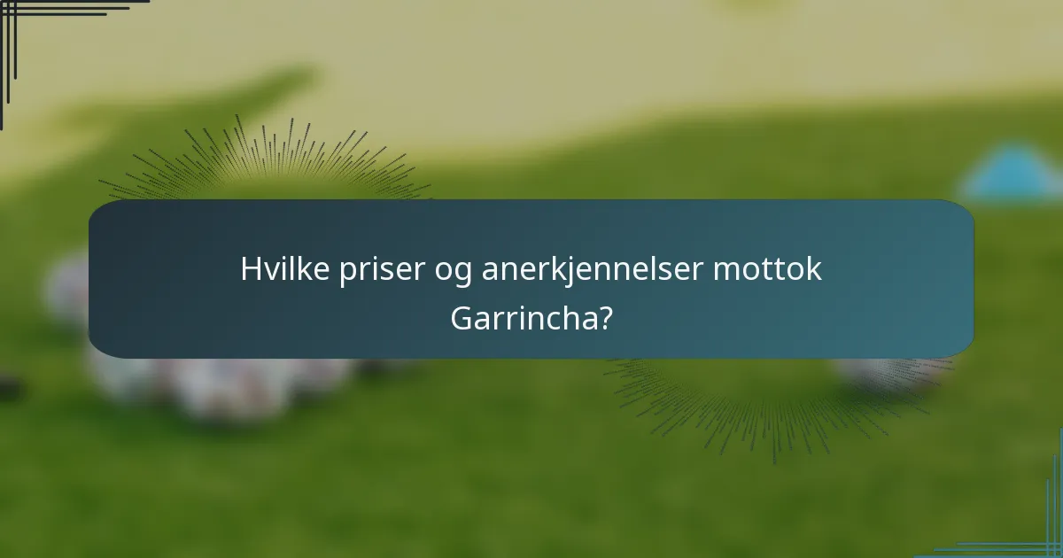 Hvilke priser og anerkjennelser mottok Garrincha?